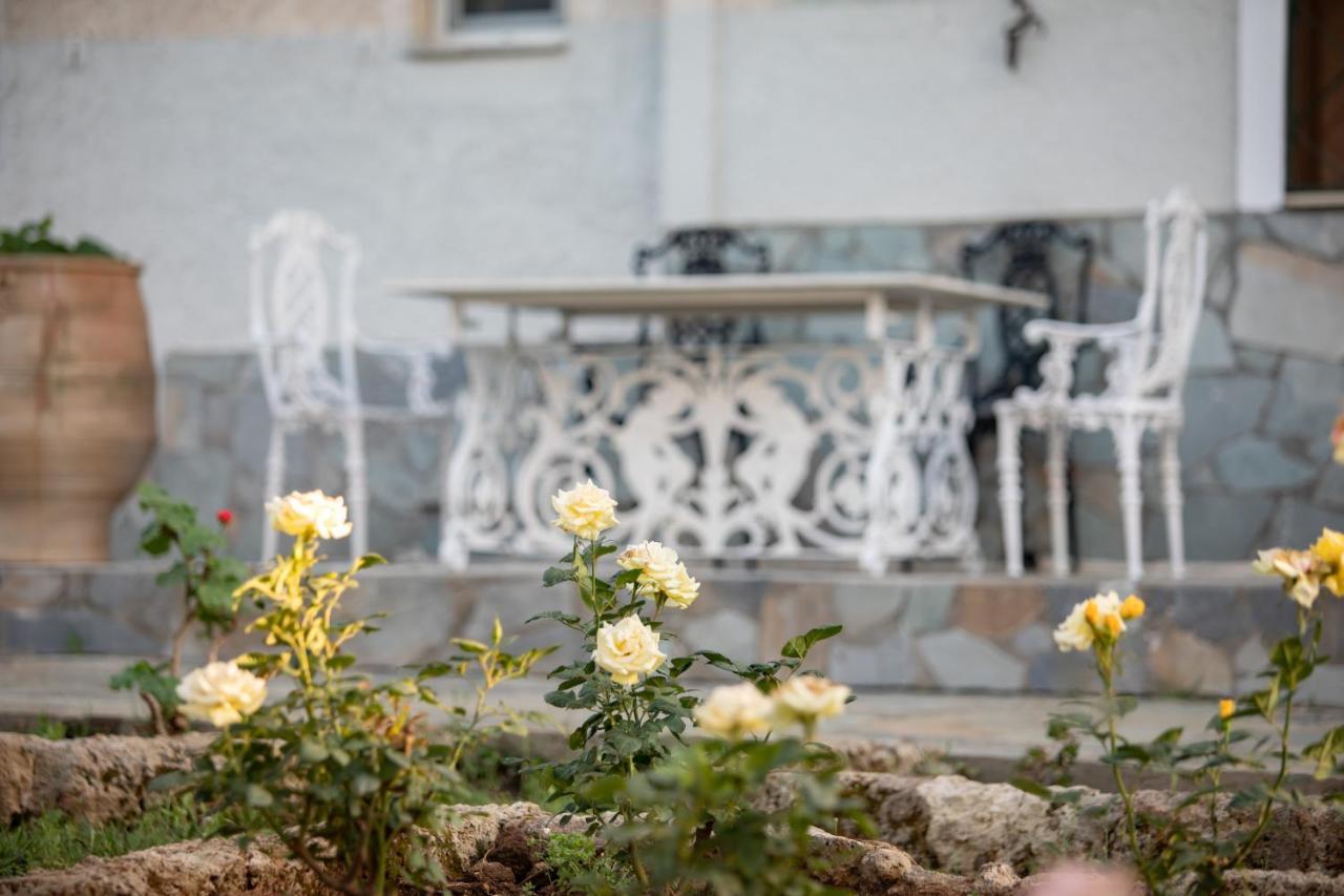 Villa Georgina B&B Katakolo Ngoại thất bức ảnh